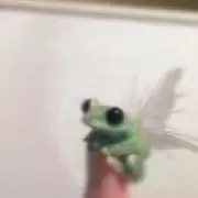 もんの画像