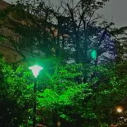 ▶︎の画像