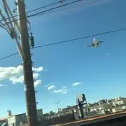 ジョー