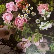 Sakura。の画像