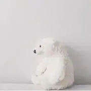 しろくまの画像