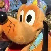 ＊P プロフお読み下さいの画像