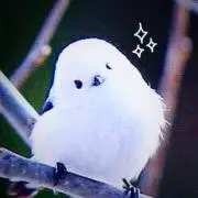 REMYの画像