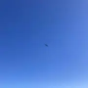 Ton Bの画像
