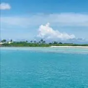 kochiの画像