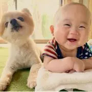 おやの画像