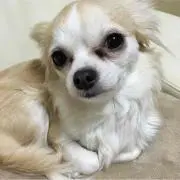 じじ