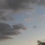 moonlightの画像