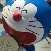 おまめちゃんの画像