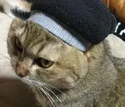 はみはみ