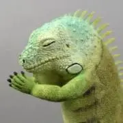 せの画像