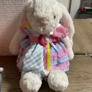 りとねこの画像