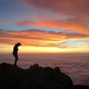 DANの画像