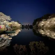 ケスケの画像