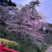 クリスタル☆の画像