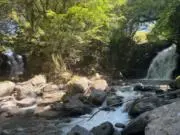 あもりんの画像
