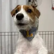 なつきの画像