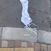 cの画像