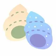 まきがいの画像