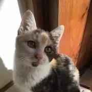 yumiの画像