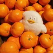 さくらこの画像