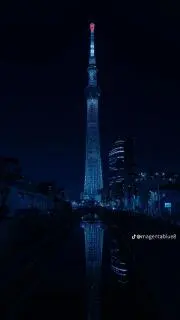 kikuの画像