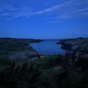 きざおの画像