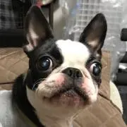 左良太郎★購入前必ずプロフお読み下さい