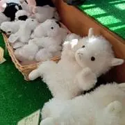 モンジローの画像