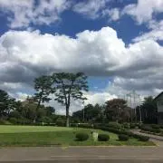 AEROSMITH エアロスミス HOHNER ハーモニカ - メルカリ