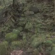 ららの画像