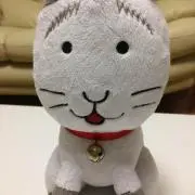 みぃの画像