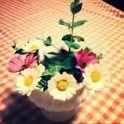 Happy☆smileの画像