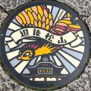 杏の画像