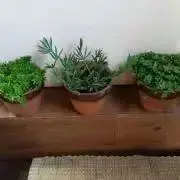 NaoNaoプロフィール見てね^ ^