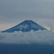 ナオナオ君の画像