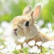 Luna プロフィール必読