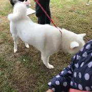 若様⭐️プロフィール必必読⭐️