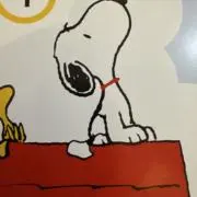 iroiroの画像