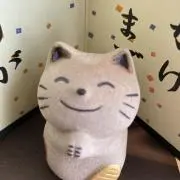 ぽっちゃりシルエットの画像