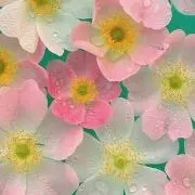 y.の画像