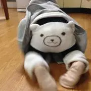 りぶぅ