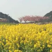 なゃおってぃー
