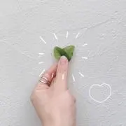 SHIROの画像