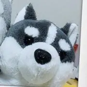 レオ