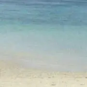 ぱんだりん