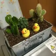 のりちゃん♪