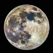 MOONうさぎの画像