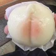海の画像