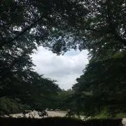 ★a---★の画像